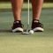 golf-wordpress-theme-19 golf-wordpress-theme-19